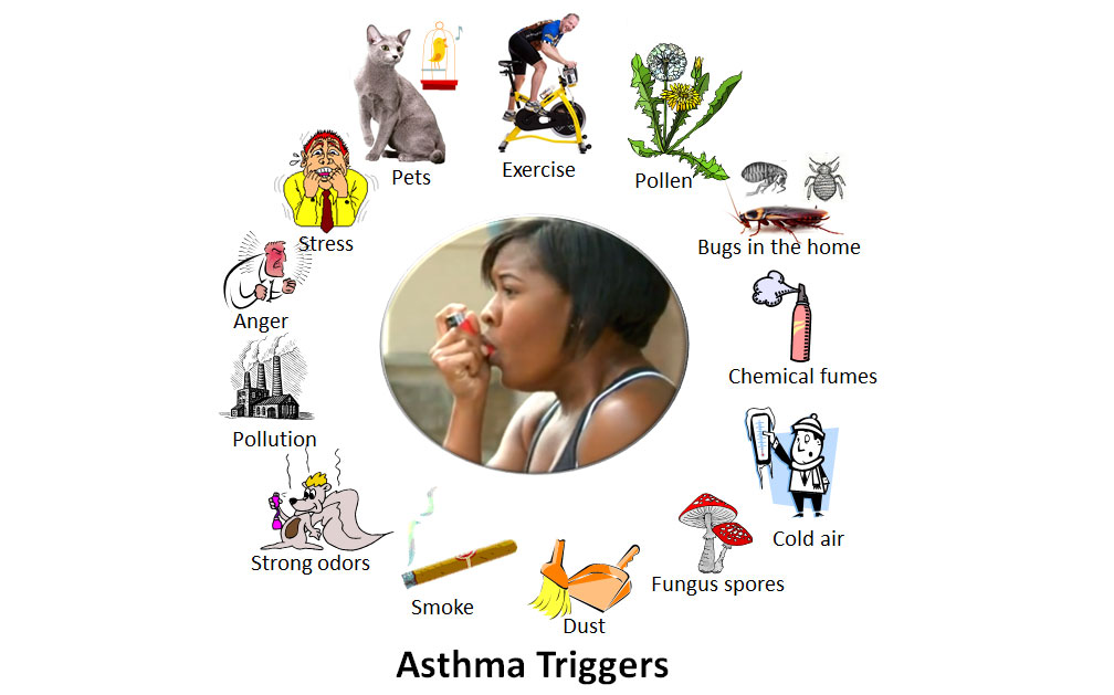 cause your asthma attacks