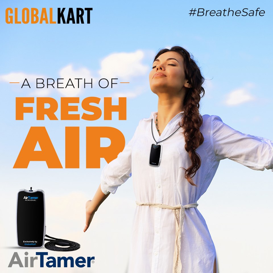 Best air purifier for delhi pollution  